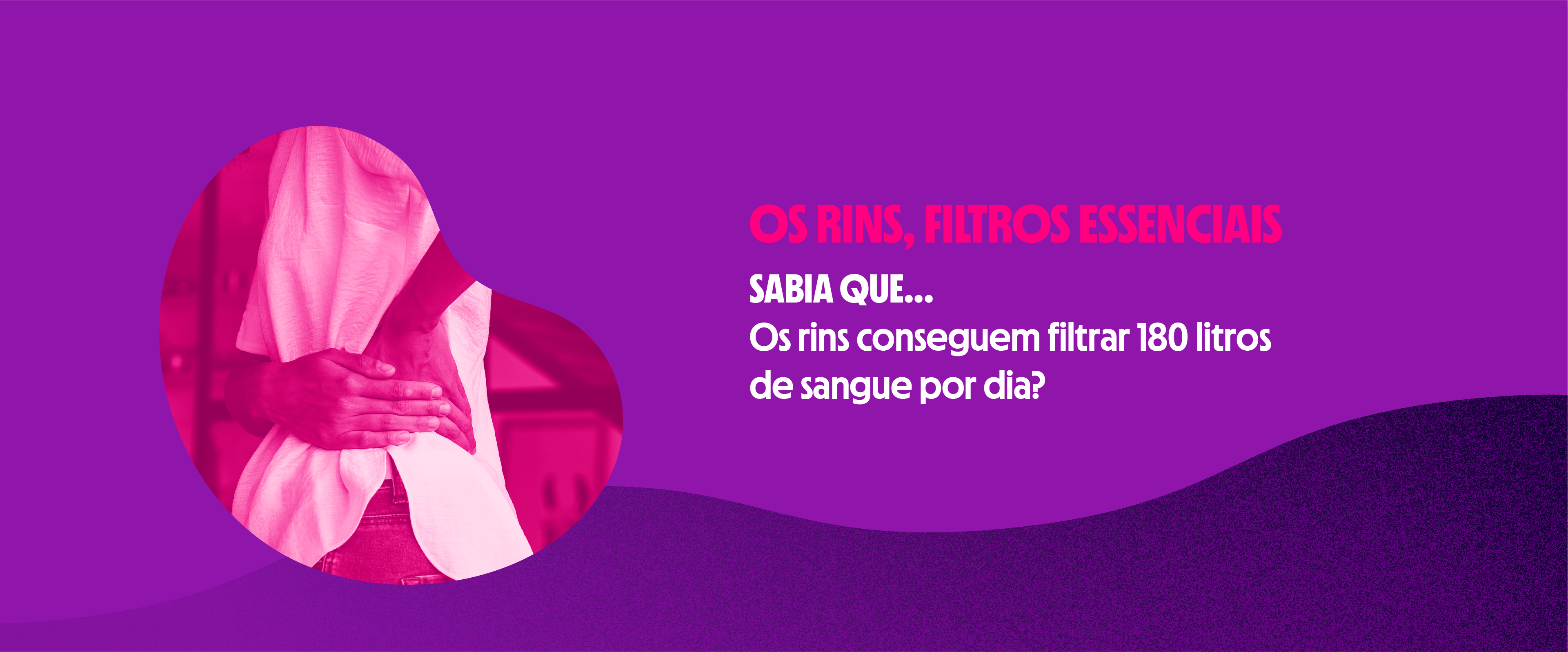 OS RINS, FILTROS ESSENCIAIS
SABIA QUE...
Os rins conseguem filtrar 180 litros
de sangue por dia?